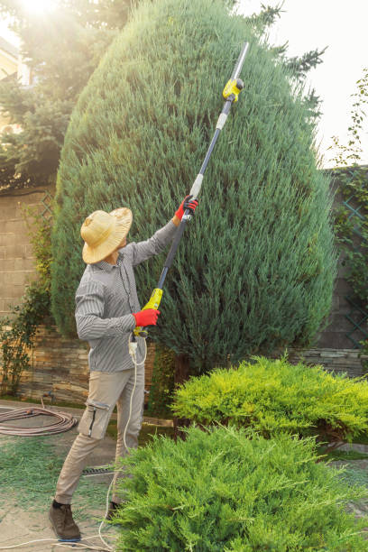 Best Lawn Maintenance Plans  in Woodmere, NY